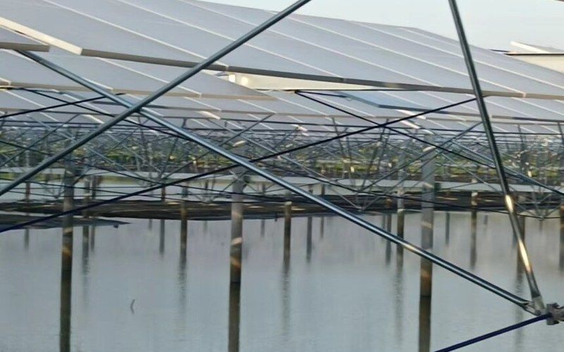 Cable-Supported Ultra-Long PV Tracker